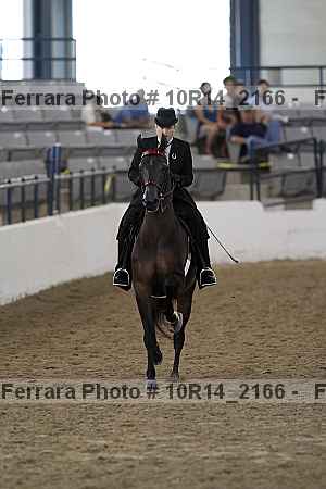 Proof Number 10r14_2166