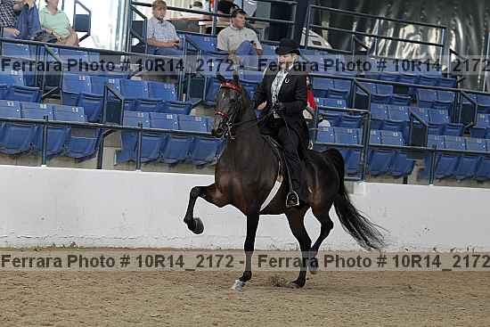 Proof Number 10r14_2172