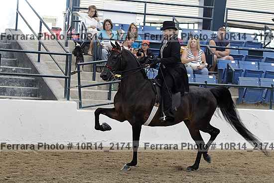 Proof Number 10r14_2174