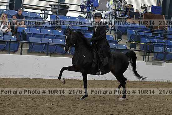 Proof Number 10r14_2176