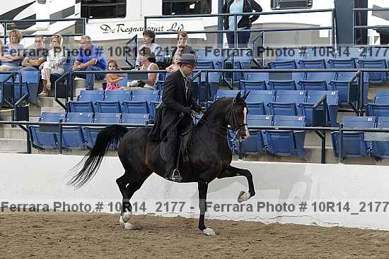 Proof Number 10r14_2177