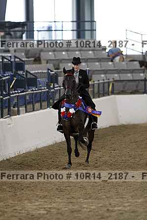 Proof Number 10r14_2187