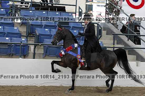 Proof Number 10r14_2193