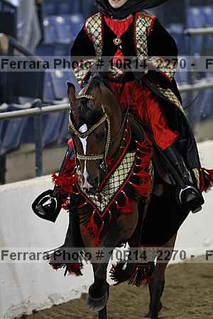 Proof Number 10r14_2270