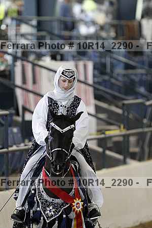 Proof Number 10r14_2290
