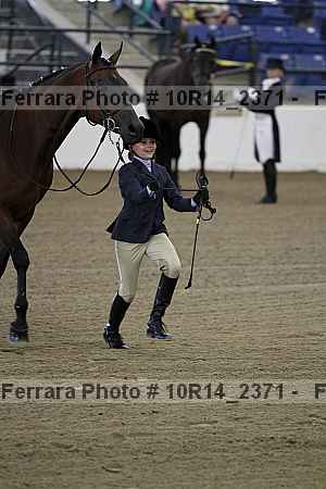 Proof Number 10r14_2371