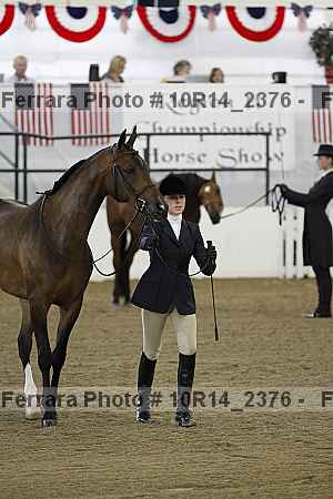 Proof Number 10r14_2376