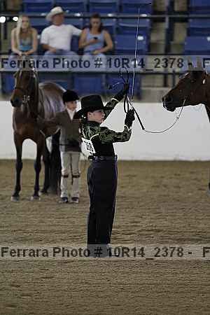 Proof Number 10r14_2378