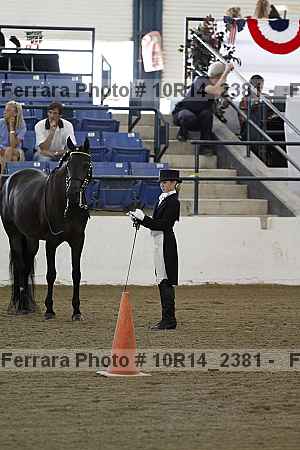 Proof Number 10r14_2381