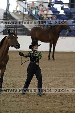 Proof Number 10r14_2383