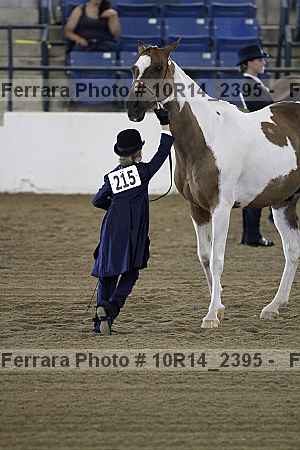 Proof Number 10r14_2395