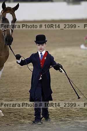 Proof Number 10r14_2399