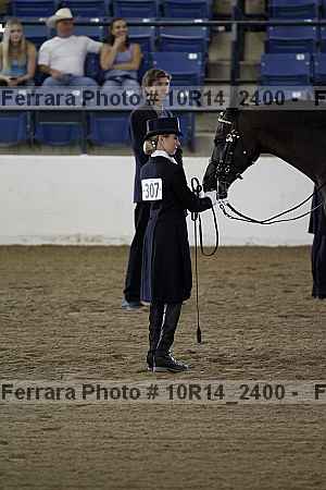 Proof Number 10r14_2400