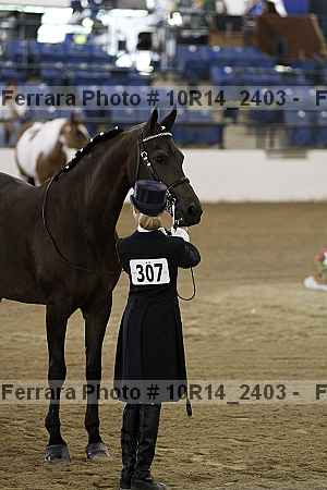 Proof Number 10r14_2403
