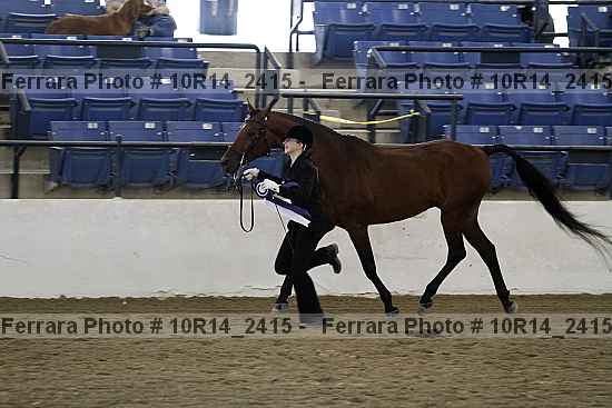 Proof Number 10r14_2415