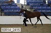 10r14_2415 thumbnail