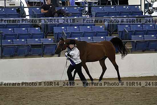 Proof Number 10r14_2418