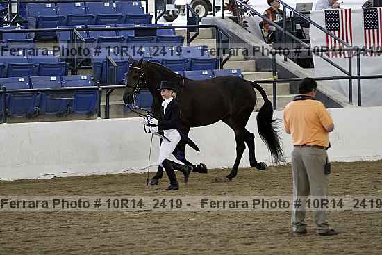 Proof Number 10r14_2419
