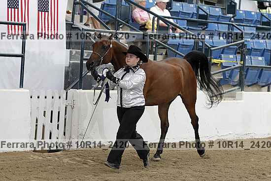Proof Number 10r14_2420