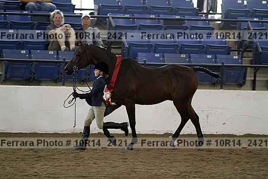 Proof Number 10r14_2421
