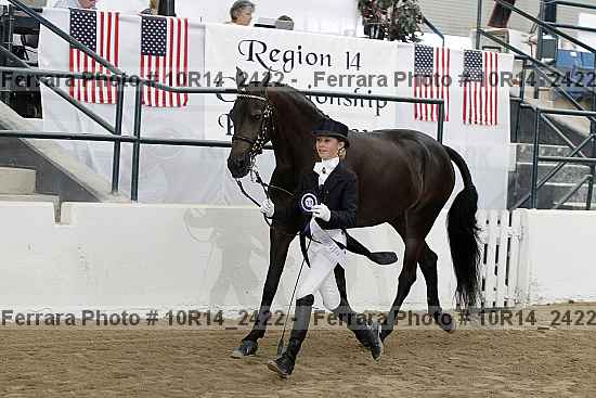 Proof Number 10r14_2422