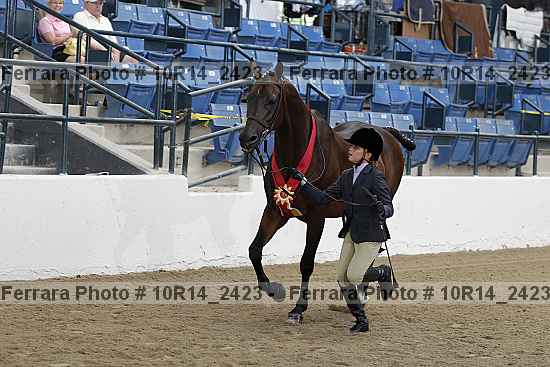 Proof Number 10r14_2423