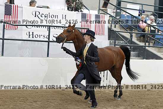 Proof Number 10r14_2425
