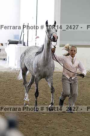 Proof Number 10r14_2427