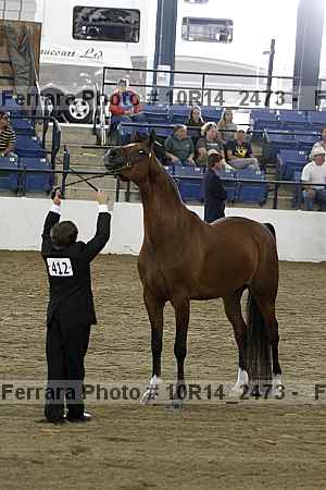 Proof Number 10r14_2473