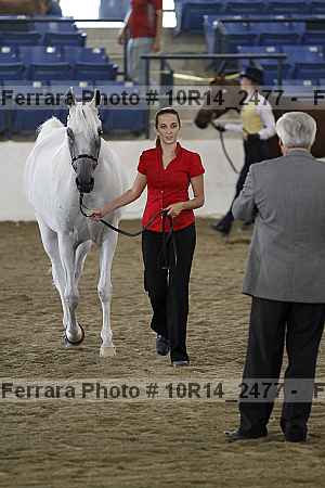 Proof Number 10r14_2477