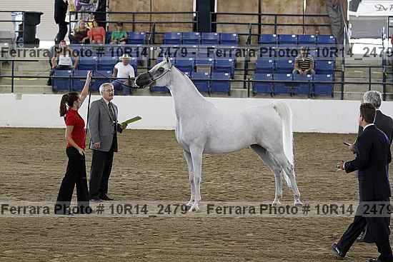 Proof Number 10r14_2479