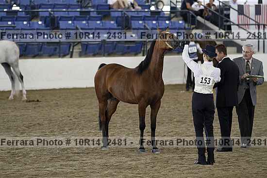 Proof Number 10r14_2481