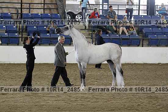 Proof Number 10r14_2485