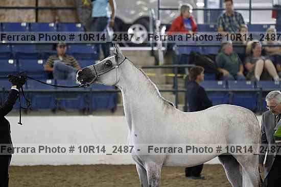 Proof Number 10r14_2487