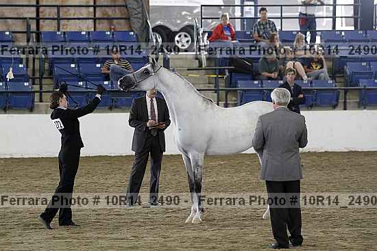 Proof Number 10r14_2490