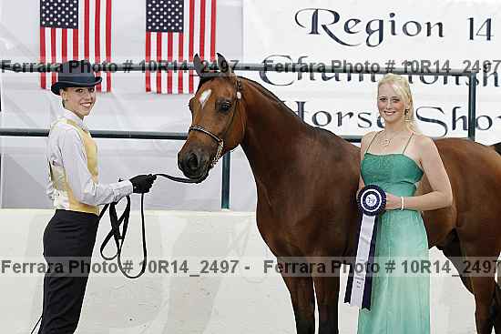 Proof Number 10r14_2497
