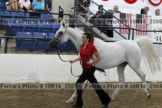 Proof Number 10r14_2505