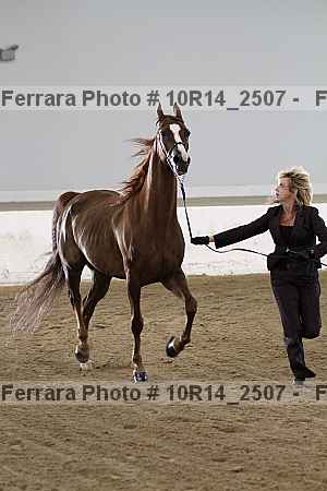 Proof Number 10r14_2507