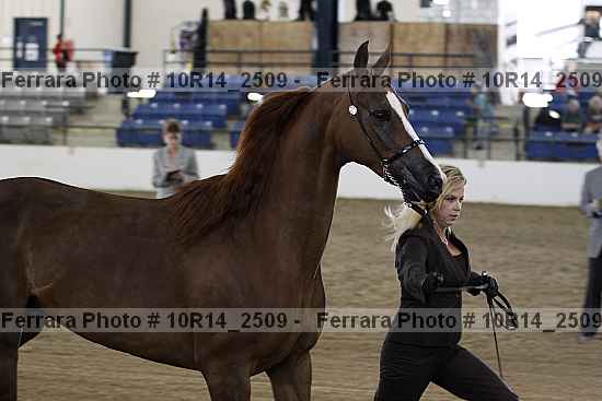 Proof Number 10r14_2509