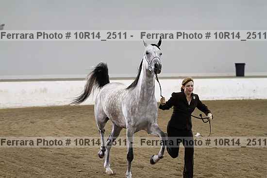 Proof Number 10r14_2511