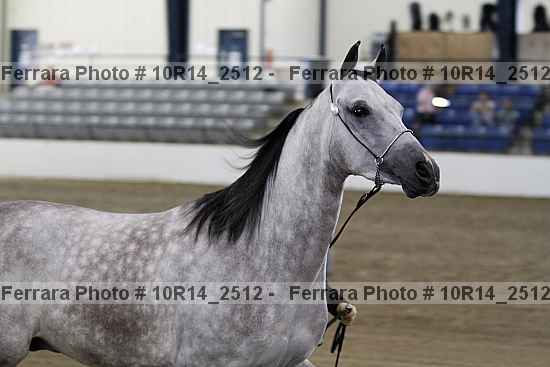 Proof Number 10r14_2512