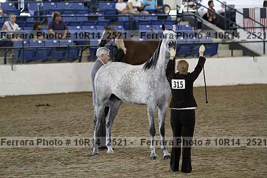 Proof Number 10r14_2521