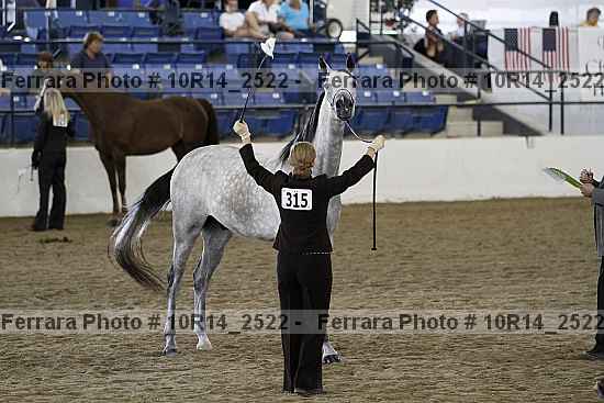 Proof Number 10r14_2522