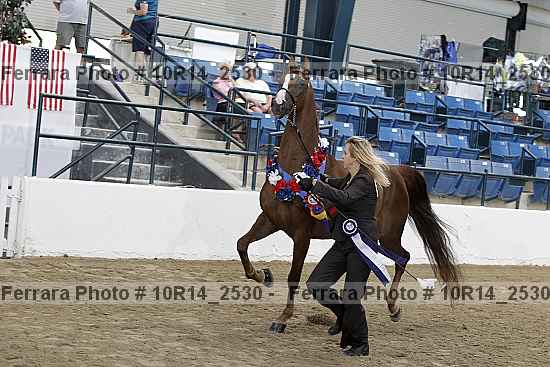 Proof Number 10r14_2530