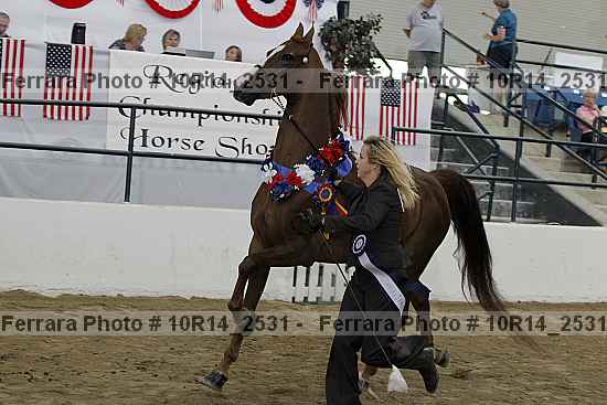 Proof Number 10r14_2531