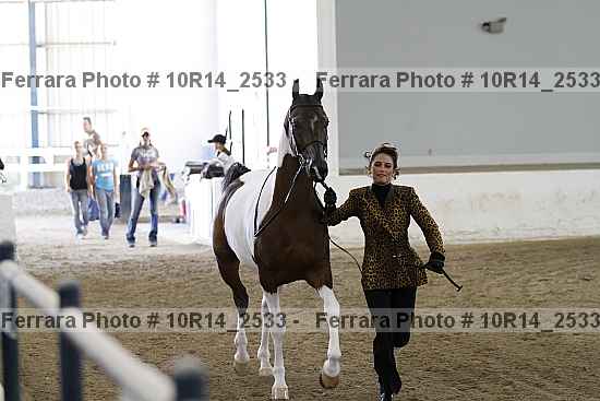 Proof Number 10r14_2533