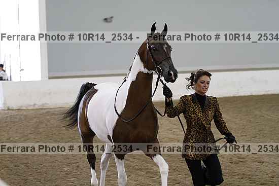Proof Number 10r14_2534