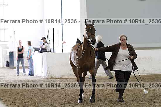 Proof Number 10r14_2536