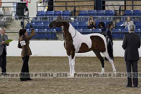 Proof Number 10r14_2538