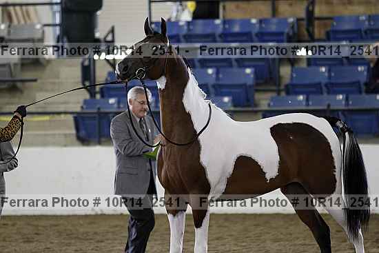 Proof Number 10r14_2541